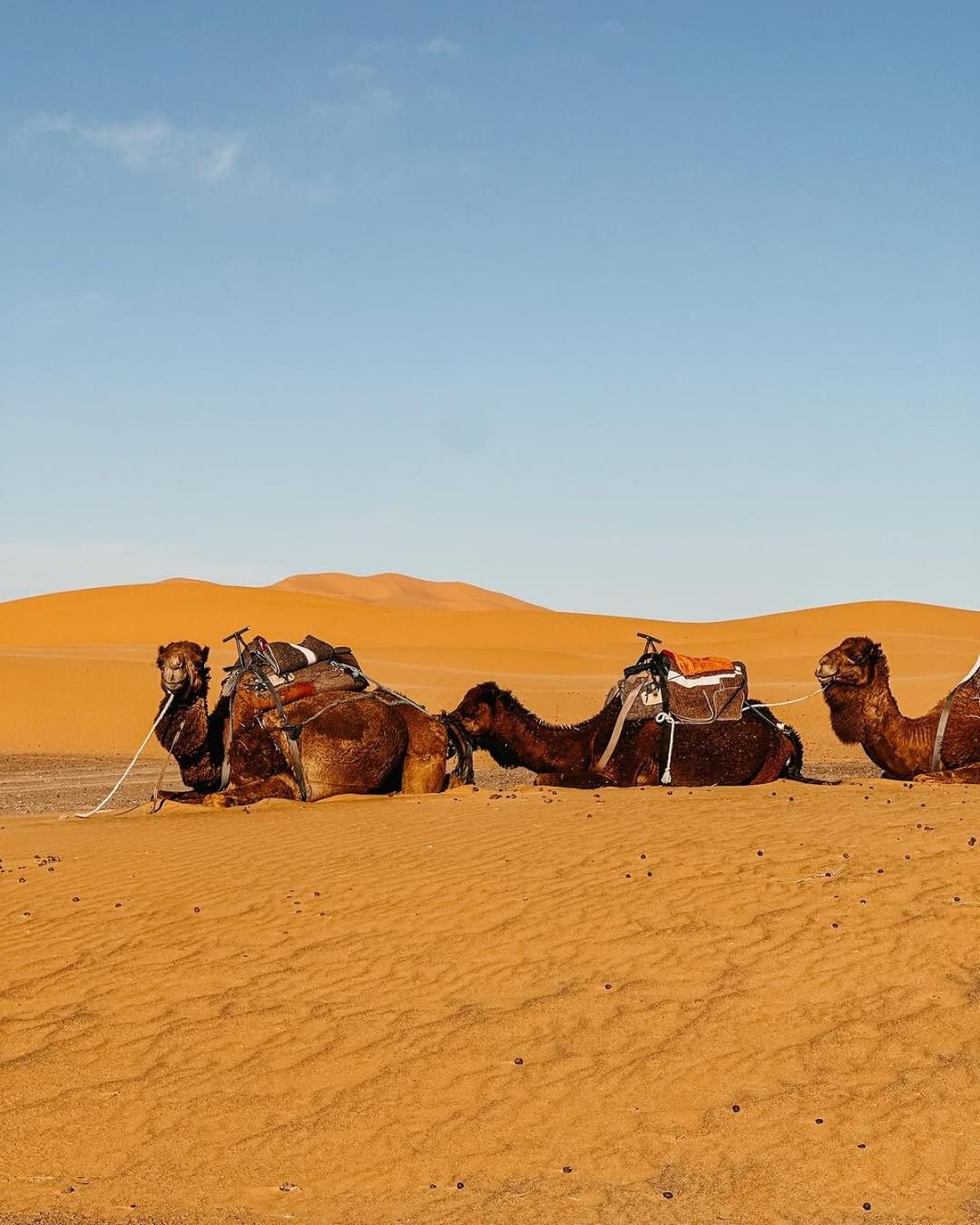 Merzouga Morocco Desert Luxury Camp Eksteriør bilde